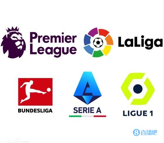 己的发展历 己的发展历